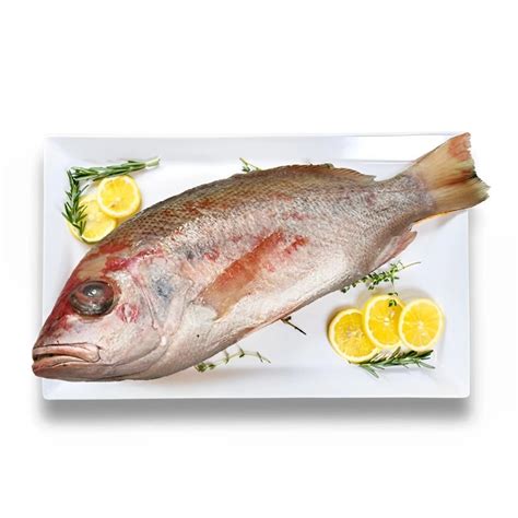 Online Fresh Fish Delivery in Singapore .